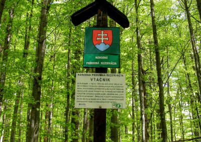 Stratení na Vtáčniku - území bukových trpaslíkov. Vtáčnik je 200 ha prírodnej rezervácie.