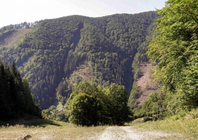 Nad Tureckou, hore, Krížna oči kole. Z Tureckej vykročíte riadne sprudka.