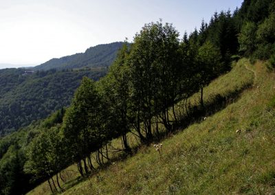 Nad Tureckou, hore, Krížna oči kole. Jej svahy sa klonia v 45 stupňovom uhle.