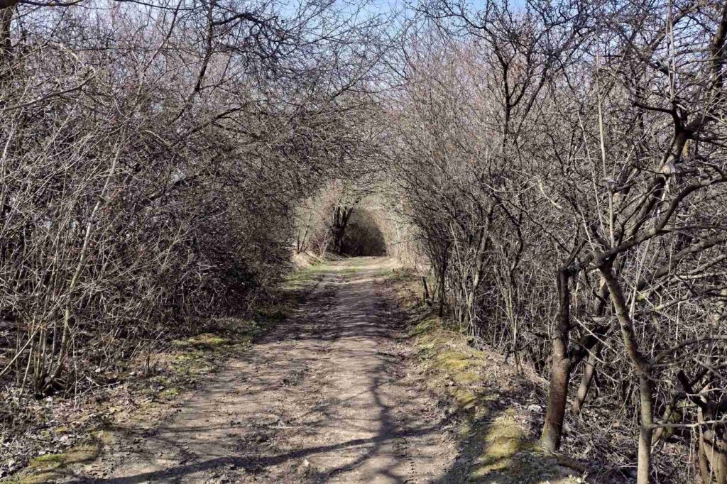 Rozhladna na Dubovej