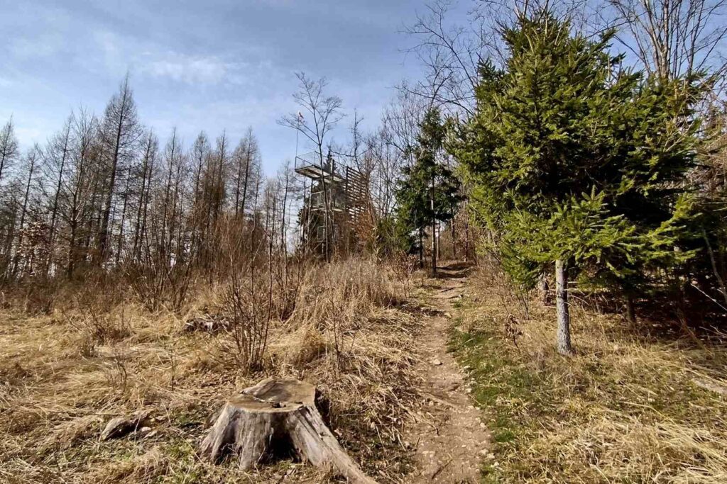 Rozhladna na Dubovej