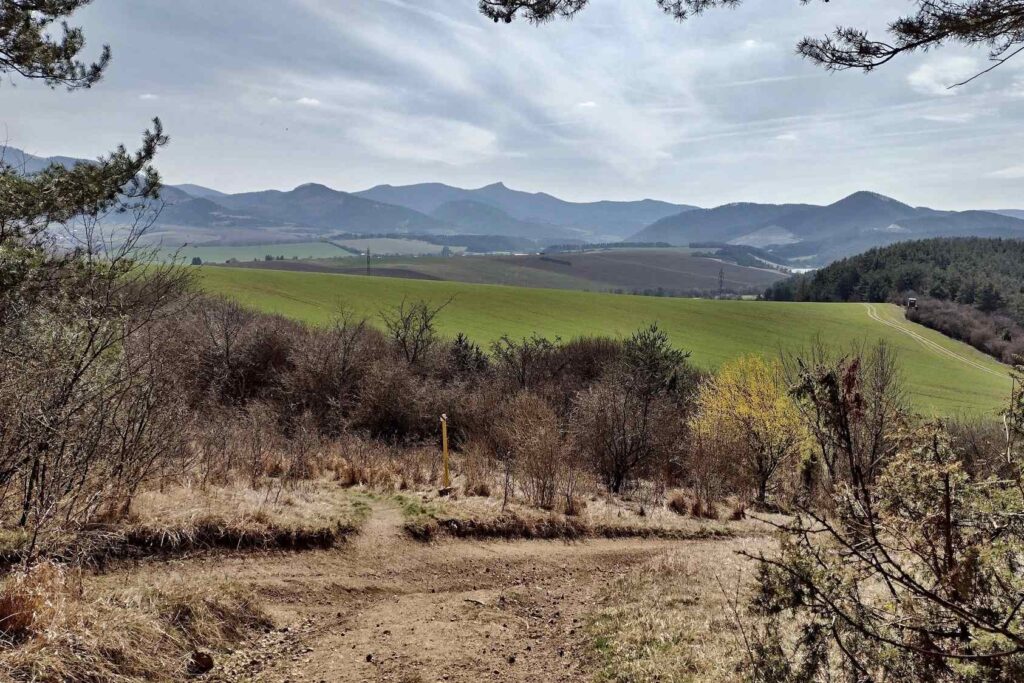 Rozhladna na Dubovej