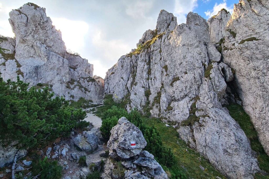 Sivý vrch