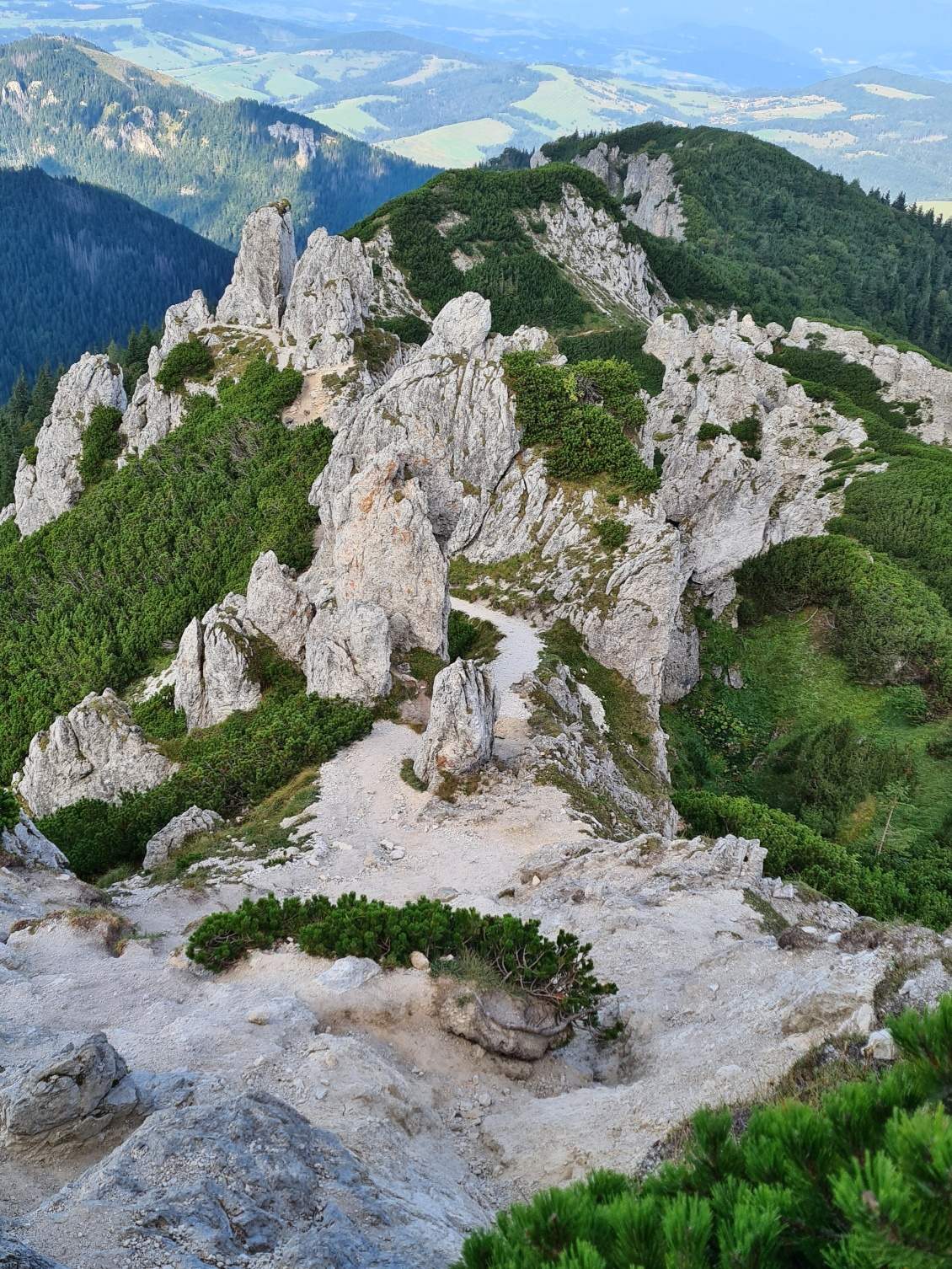 Sivý vrch